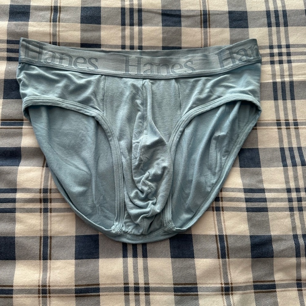 Hanes Men's Gray Briefs